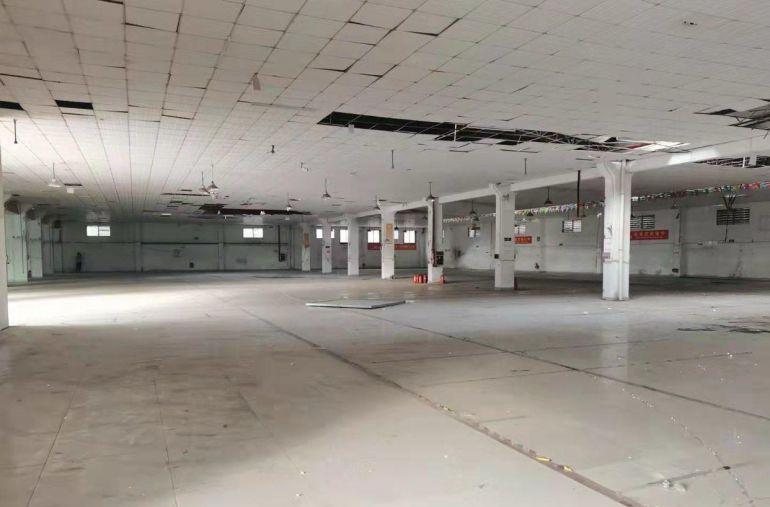 独门独院单一层靓厂房