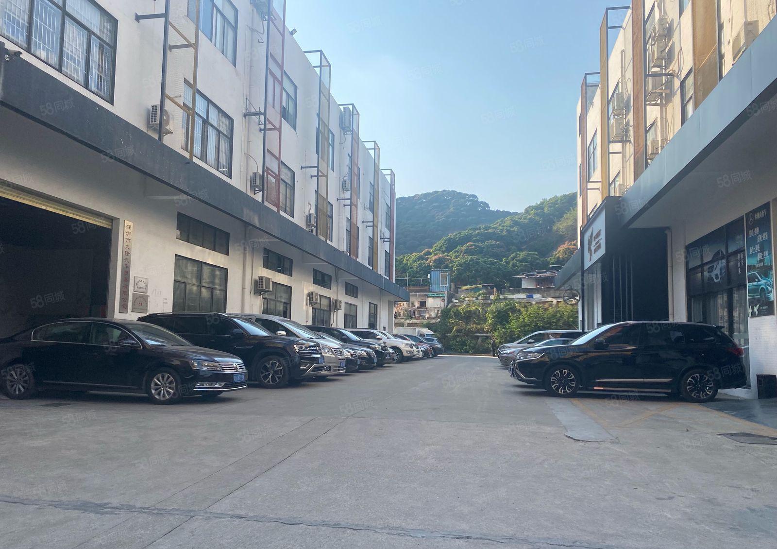 南山西丽创意园办公，电商，仓库320平带装修