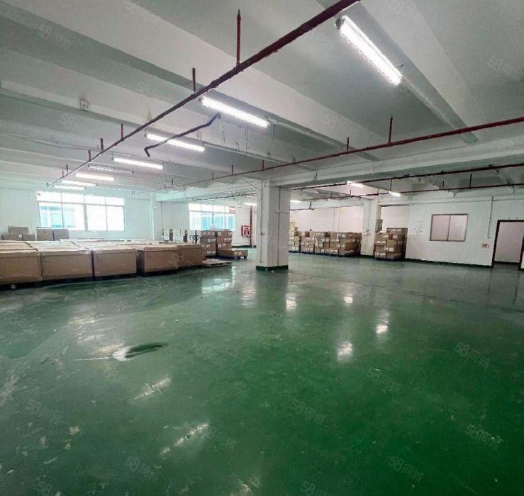 租金32元 面积500平至2千平 南山西丽白芒 百旺阳光厂房