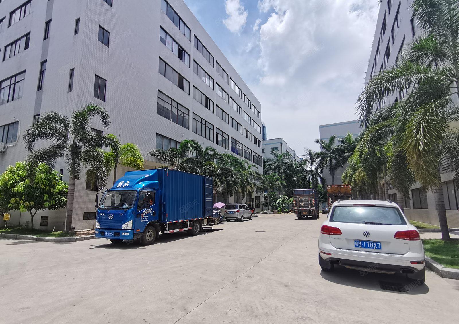 光明12000高新补贴厂 房出租，免租半年1000平起