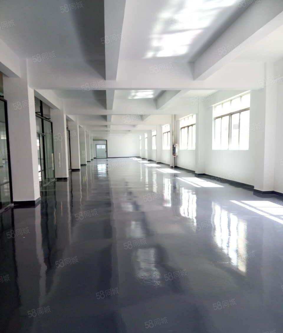 西丽地铁站附近260平带装修，电商，办公，生产均可