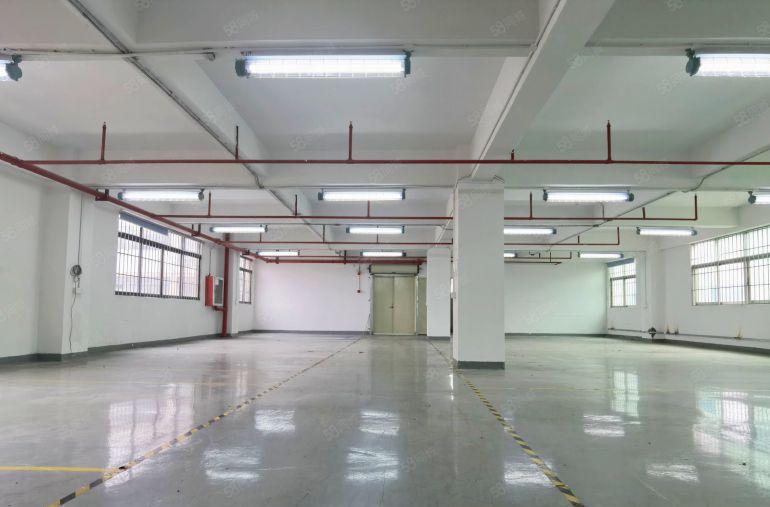 南山西丽 创意研发产业园 新出整层小面积厂房 环境非常好