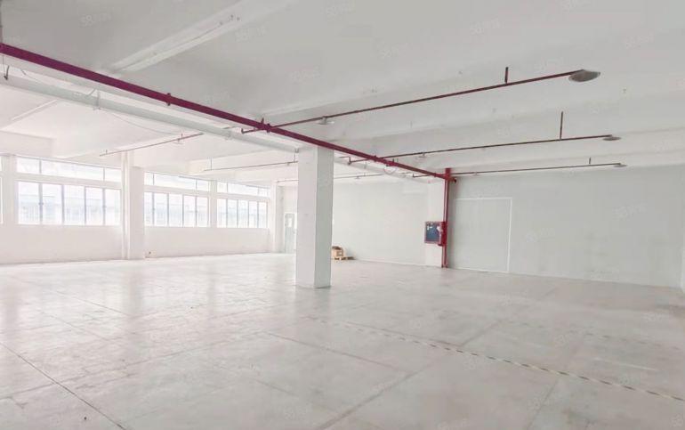 喷淋齐全光线好 厂房仓库办公物业直租 1570平带装修