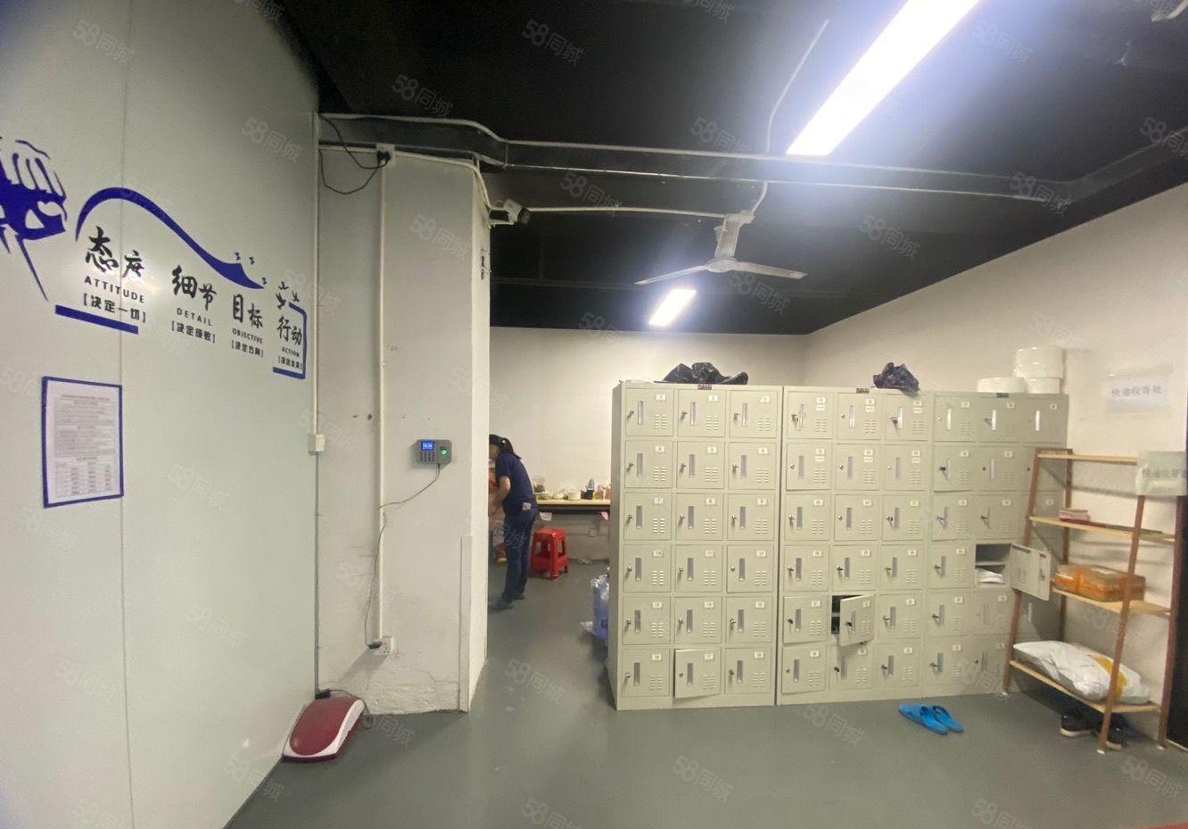 南山白芒高速口1400平方精装修红本仓库厂房出租