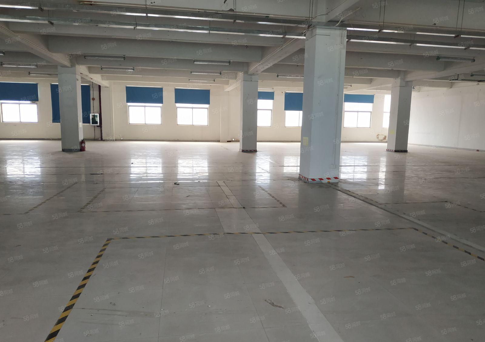 一楼1700平整层厂房仓库 西丽阳光工业区南北通650平起租