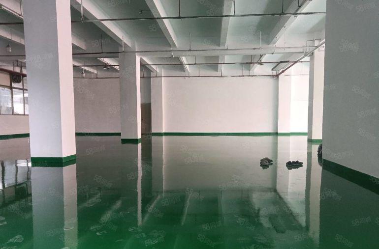 西丽（价格可聊）500至1000平方楼上厂房仓库精装修出租