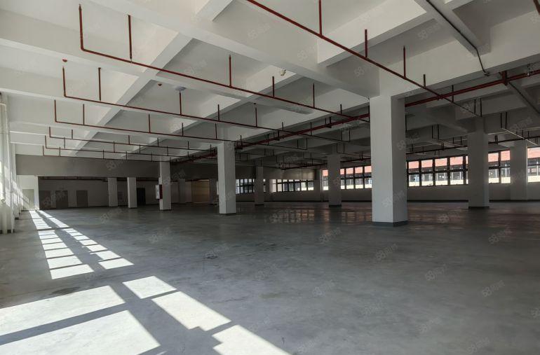 东莞塘厦临深原房东花园式红本无公摊厂房出租35万平，可分租