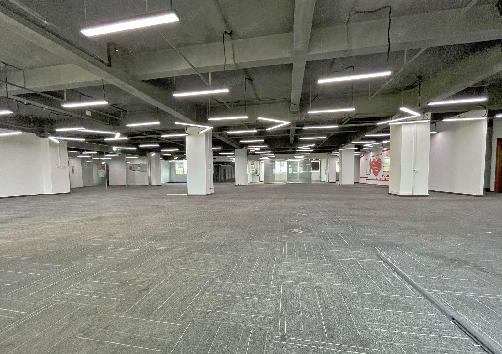 一手 一手 西丽龙珠大道  原房东厂房 整层1100平 精装