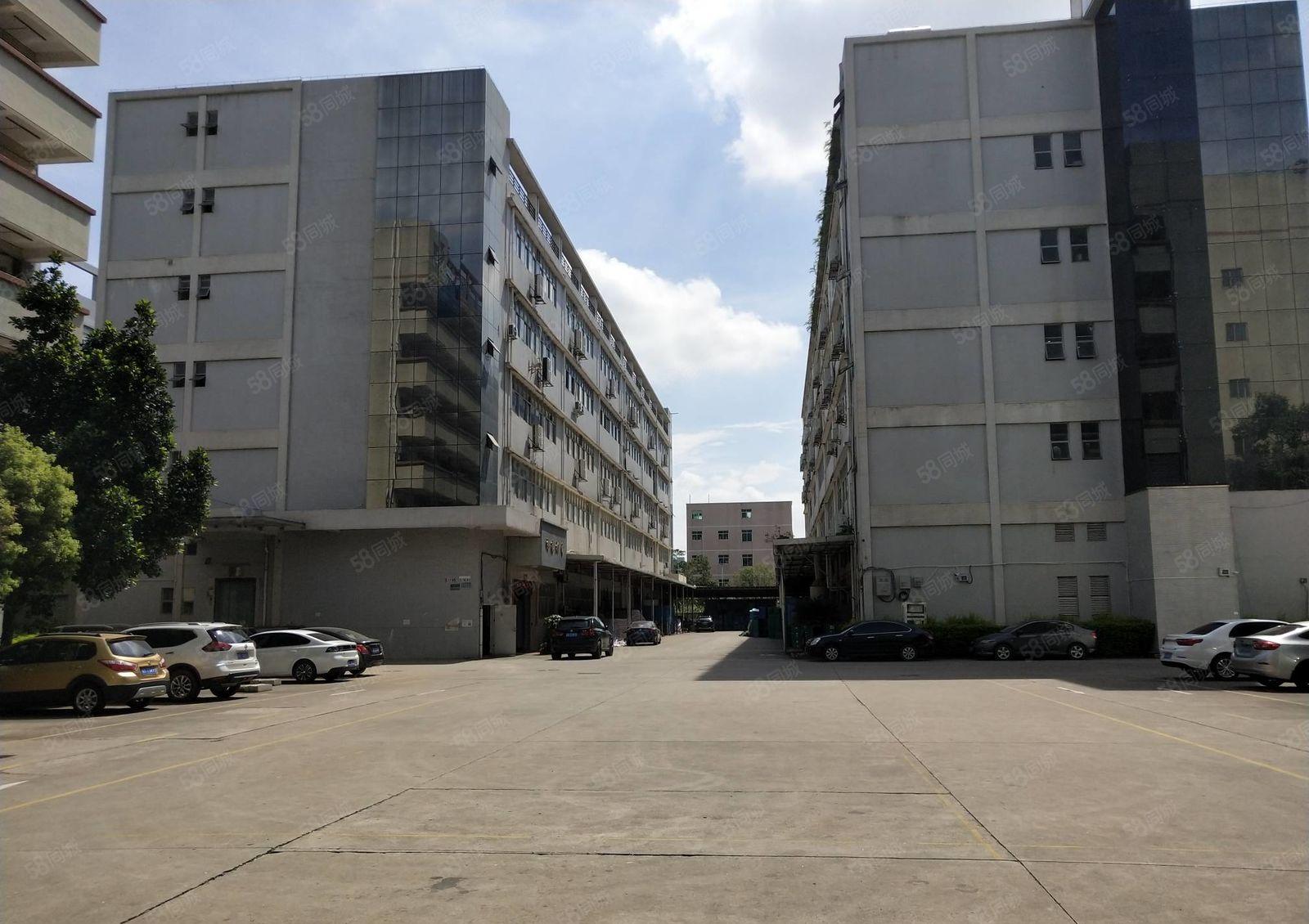 200平起分租南山西丽原房东工业园1000平仓库厂房出租整租