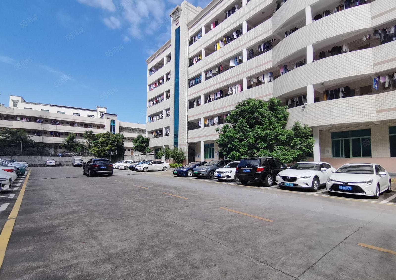 办公室带装修！仓库有地坪漆！盐田少有红本厂房低价出租170平