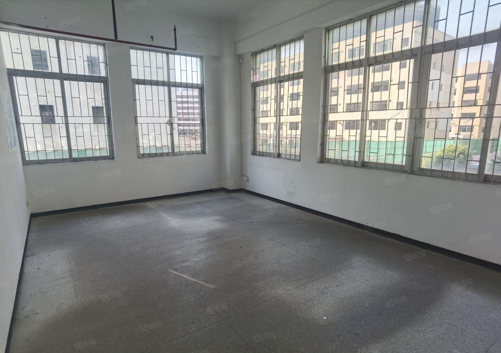 南山塘朗原房东带简装厂房801.81平出租，带卸货平台