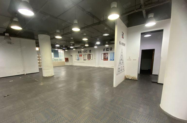 南山精装大小面积均有 免租期长 业主直租 价格便宜