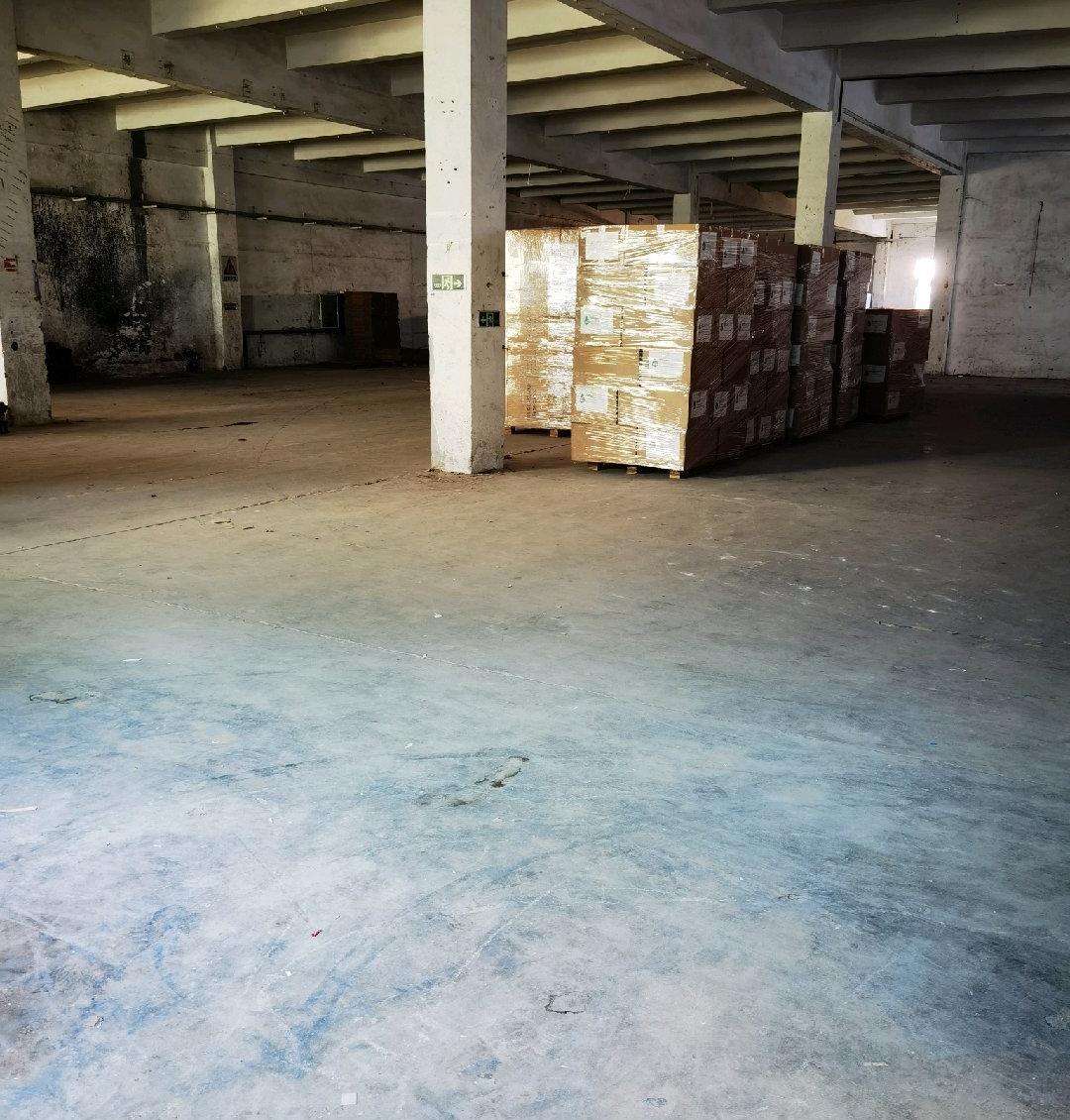 平湖一楼标准厂房300-7000平方可分租临近清平高速出口