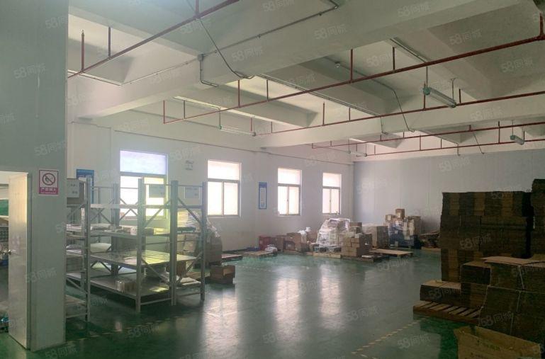 龙岗宝龙工业区新出楼上1650平方带现成办公室装修