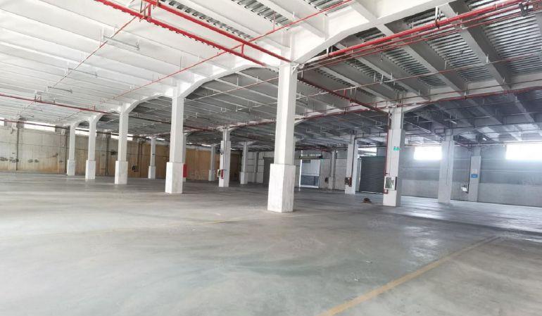 盐田6000平方厂房仓库 低价分租 物流分拨配送中心