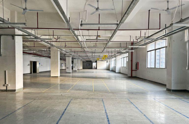 宝安兴东 红本厂房整层2650平方，高使用率85