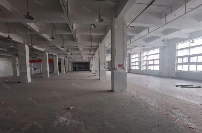 高新科技园区1楼和2楼厂房单层面积8000平方，可分租