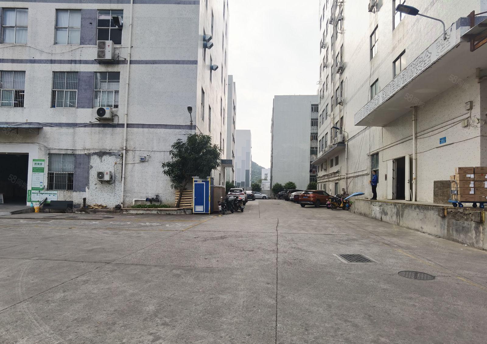 南山西丽阳光工业区新出原房东带装修厂房1230平