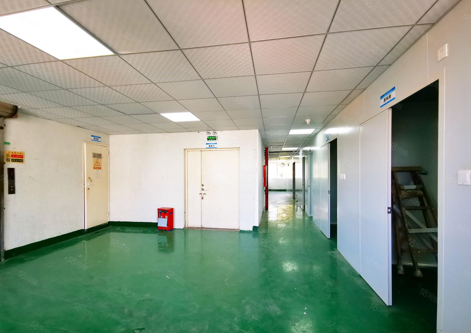 留仙洞总部基地 无尘车间厂房 整层2100平 可办环评
