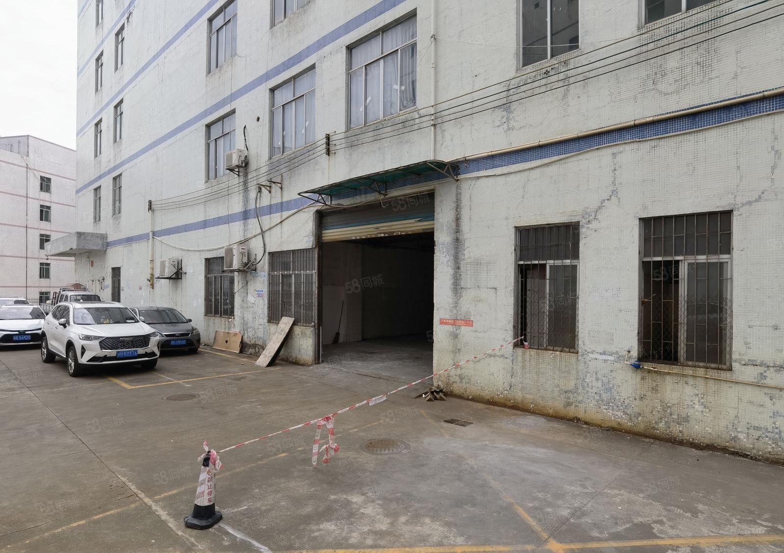 南山西丽 原房东厂房出租 一楼厂房出租 950平停车非常方便