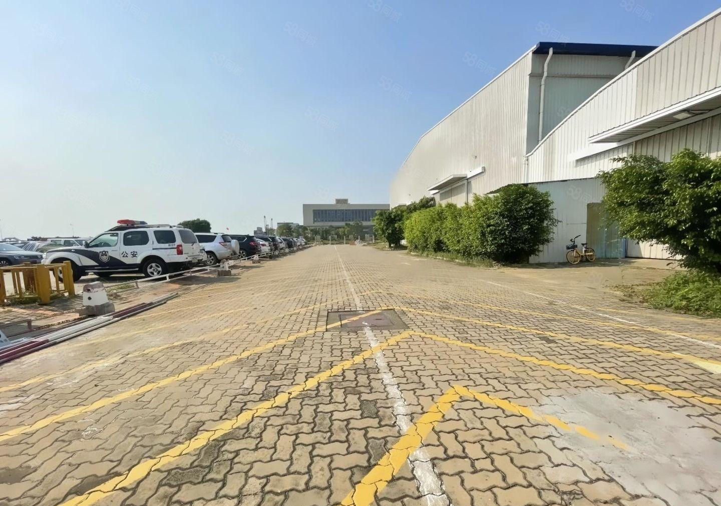 前海蛇口港高标准单一层仓库 2250平方 行业不限价格好谈