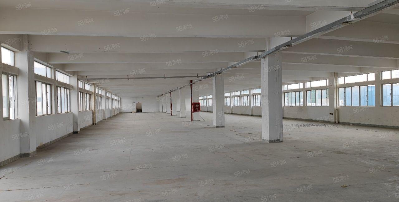 一楼1700平整层厂房仓库 西丽阳光工业区南北通650平起租