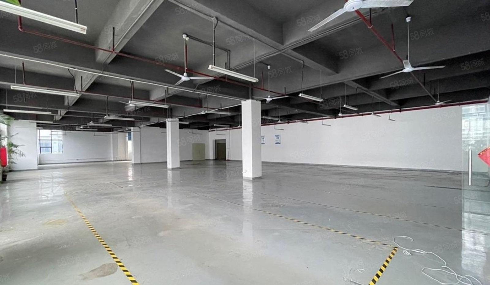 深大站 整层业主直租1275平 租金65元 八成使用率