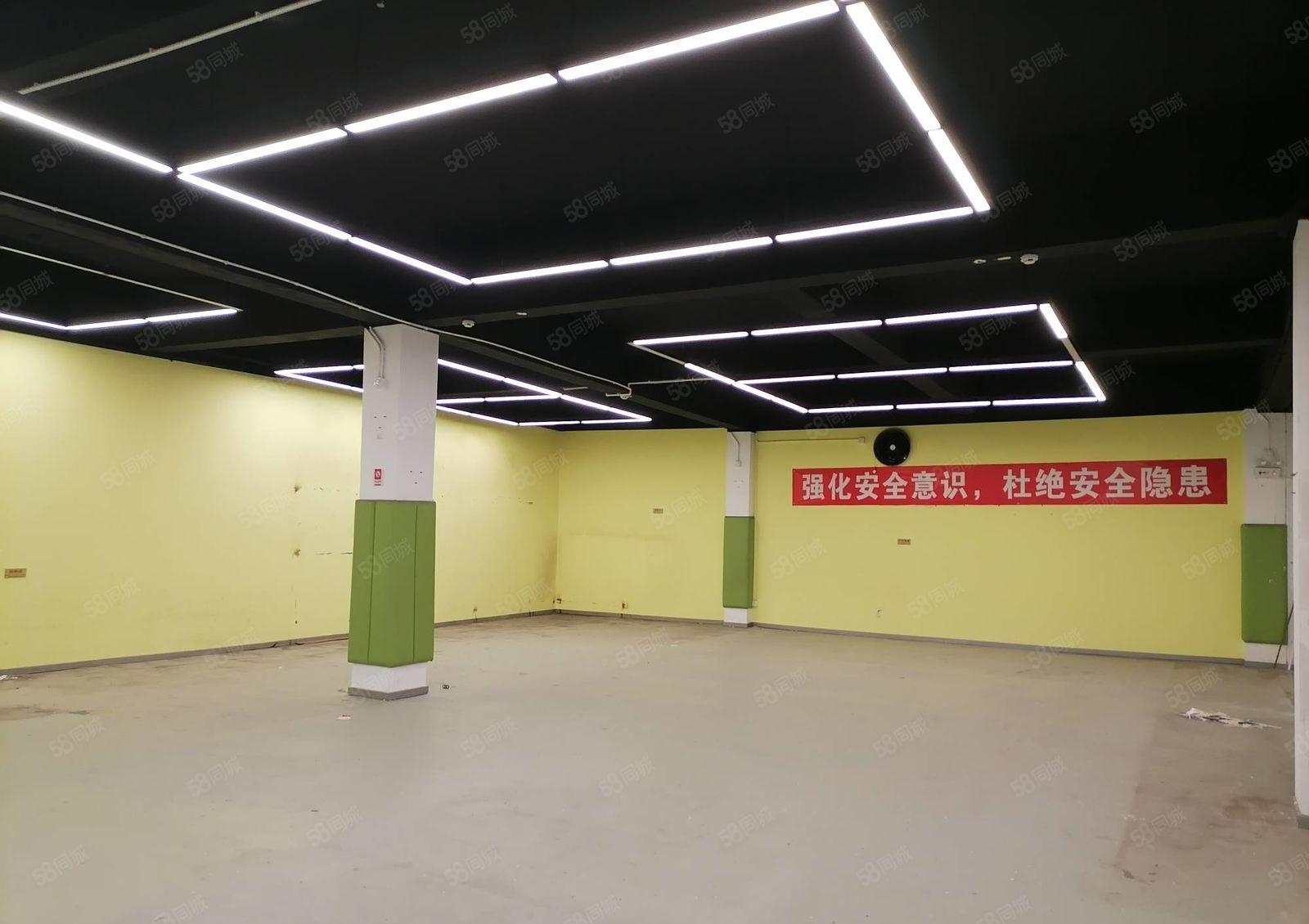 物业直租南山300平物流仓库，适合递物流，配送，食品饮品批发