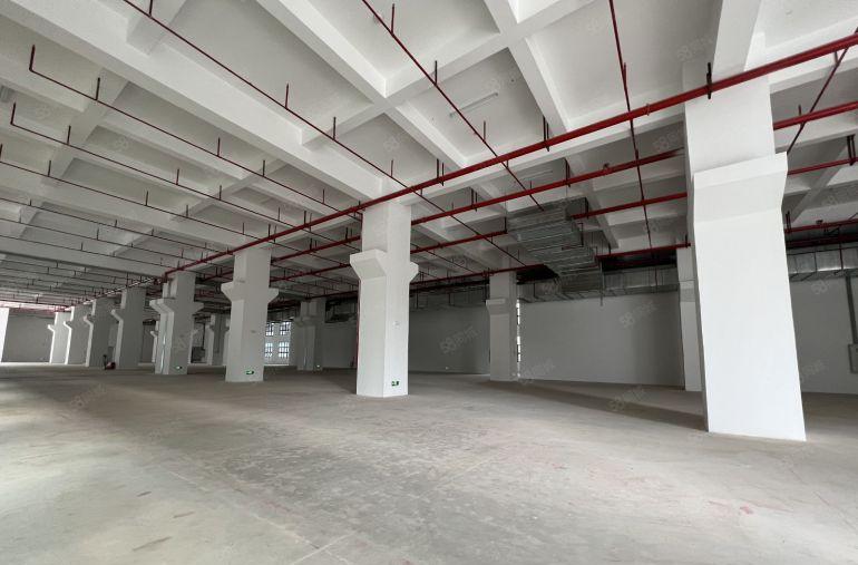 一楼15元实际面积全新红本厂房出租1000平大小可分交通便利