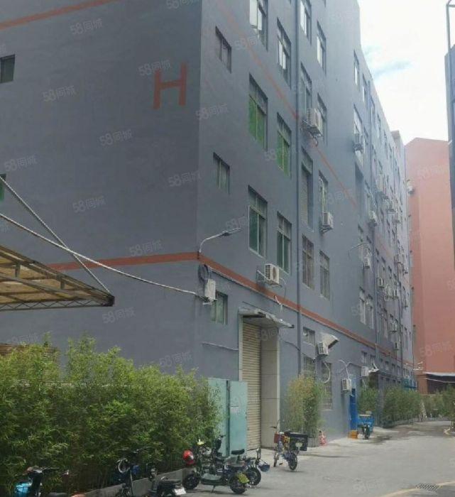 南山西丽地铁站（原房东直租）厂房160至300平.无递增