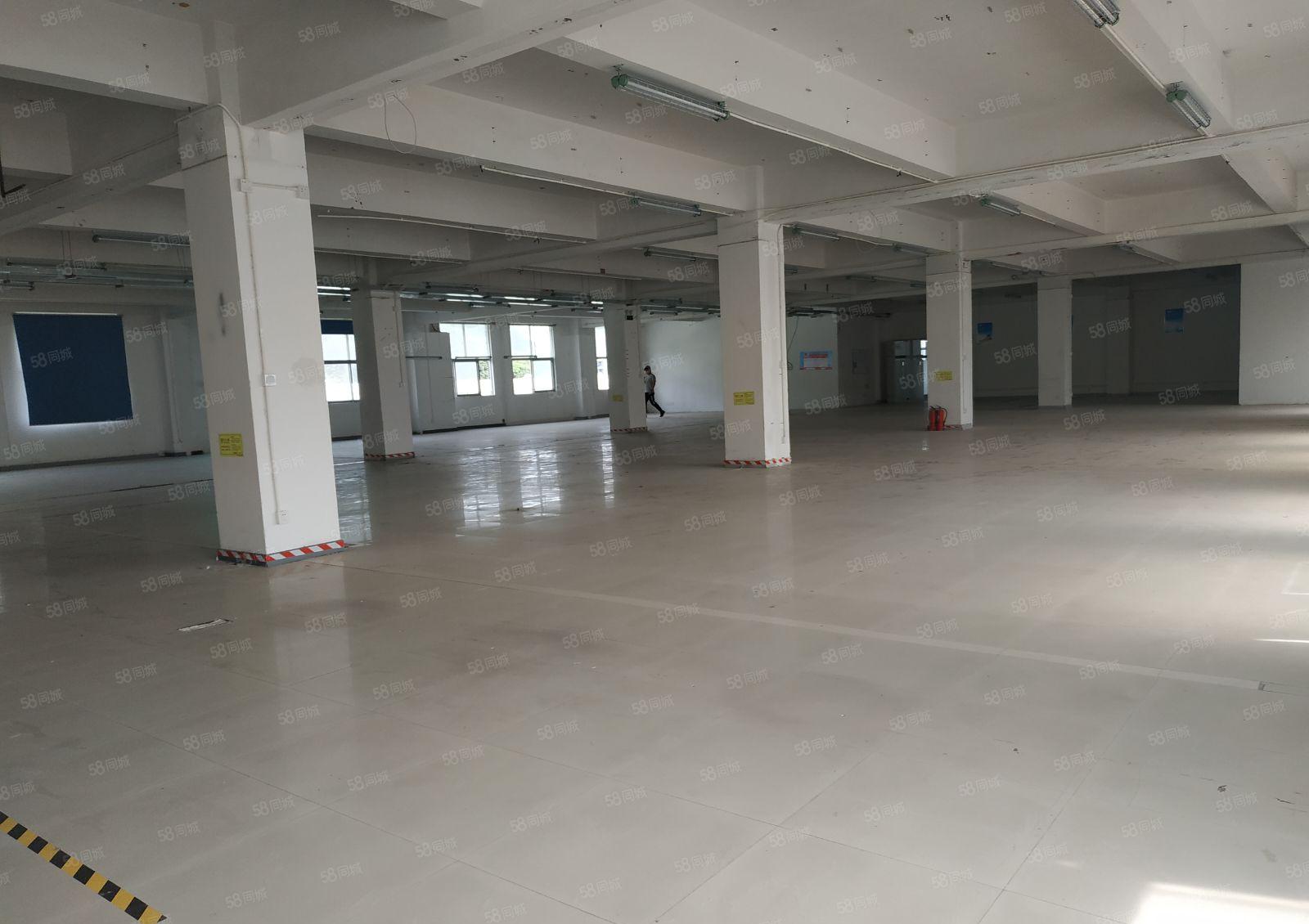 一楼1700平整层厂房仓库 西丽阳光工业区南北通650平起租