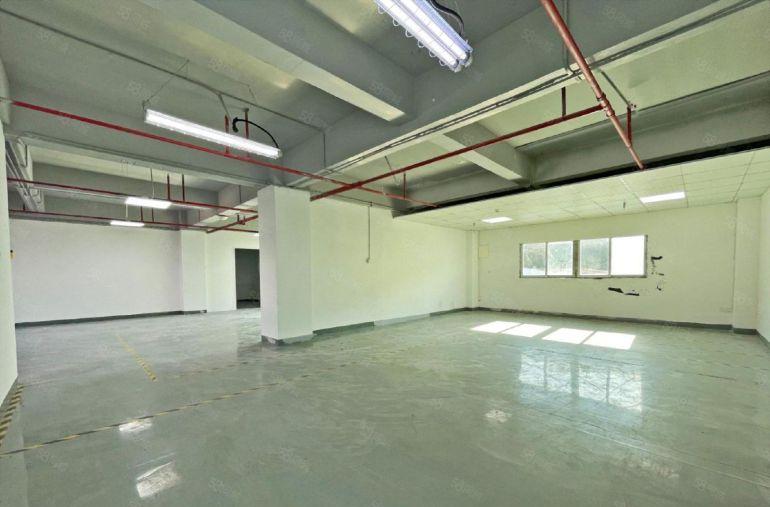 南山西丽300平 办公室厂房仓库 电梯口 停车免费 形象好