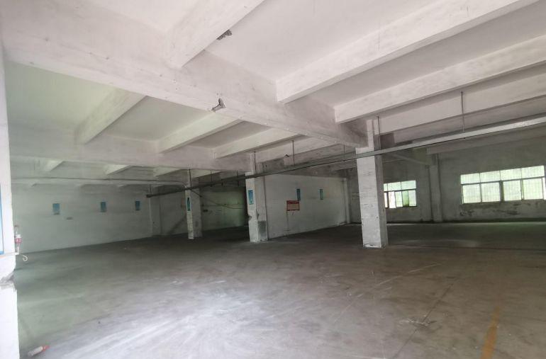 深圳观澜福庭大型园区一楼低价出租，近竹村地铁口500M