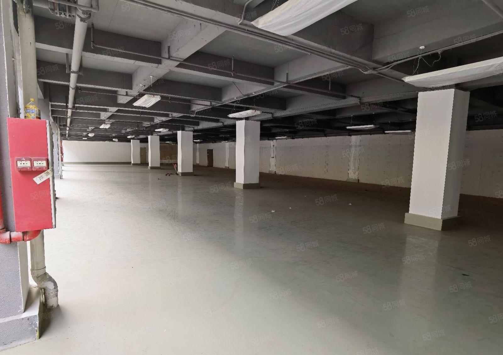 西丽旺棠工业区100平至2000平精装办公室电商仓库厂房出租