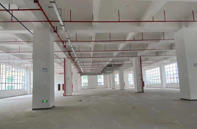 （出租）惠阳原房东红本高端厂房首层高8米承重大园区独立变压器