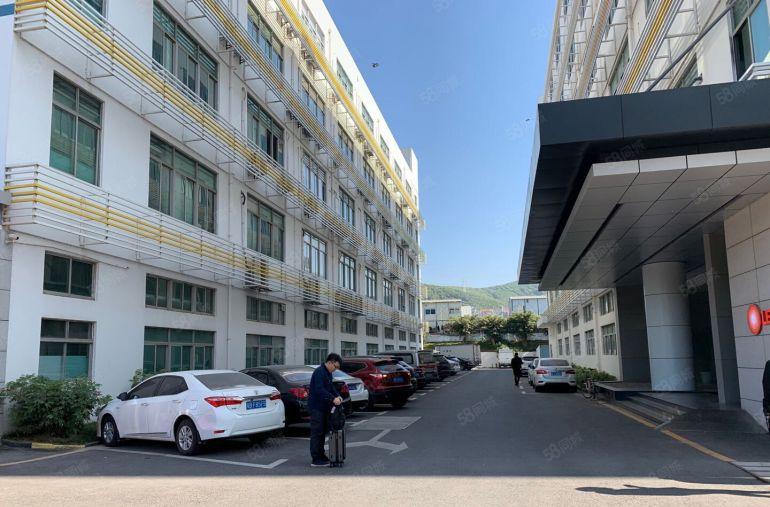 南山西丽留仙洞文化产业园整层1800平豪华装修，即租即用