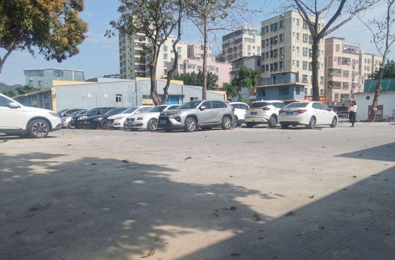 西丽动物园，一楼1200平，3500平仓库出租