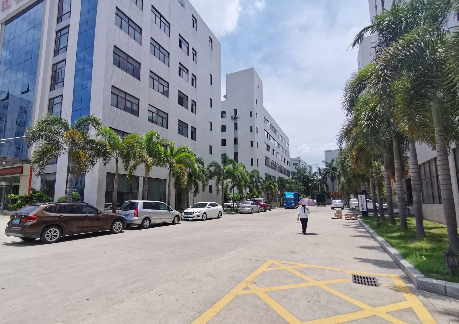 光明12000高新补贴厂 房出租，免租半年1000平起