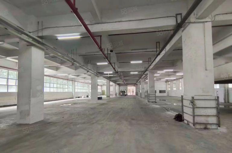 原房东红本厂房仓库招租，单层4280平方，一楼楼上均有，可看