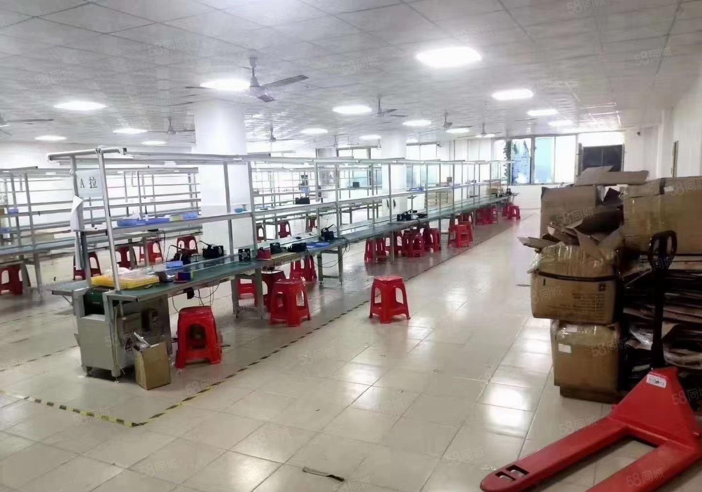 西丽麻磡工业区200平至5000平精装办公室电商仓库厂房出租