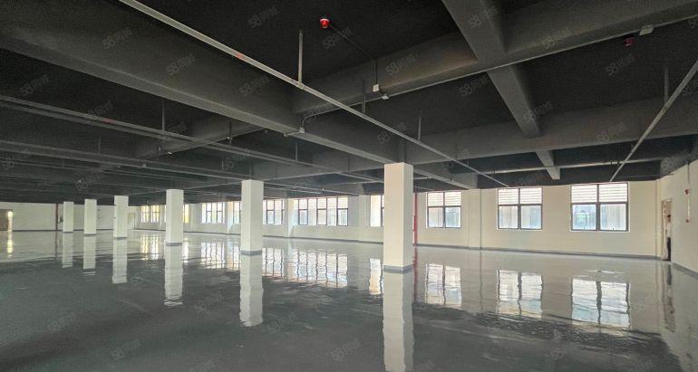 南山蛇口厂房200道2000平出租大小面积可分45元起可生产