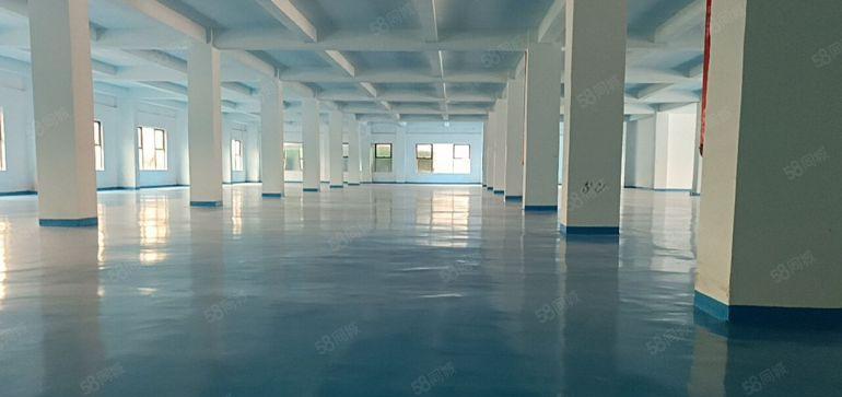 500平起租南山中心路附近整层5000平米原房东实际面积