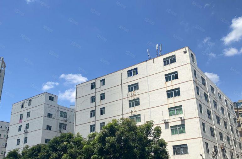 南山西丽双地铁口200至1000平全新装修，办公，电商，培训