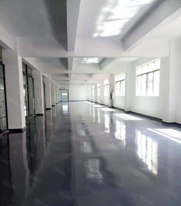 南山西丽地铁站260平带装修仅租35元，电商，组装，生产均可
