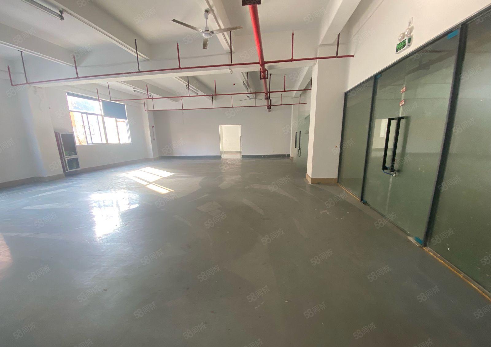 南山西丽创意园办公，电商，仓库320平带装修