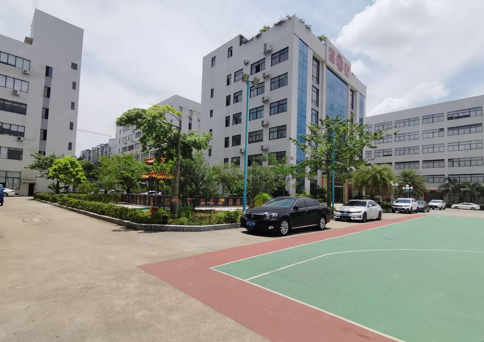 光明12000高新补贴厂 房出租，免租半年1000平起