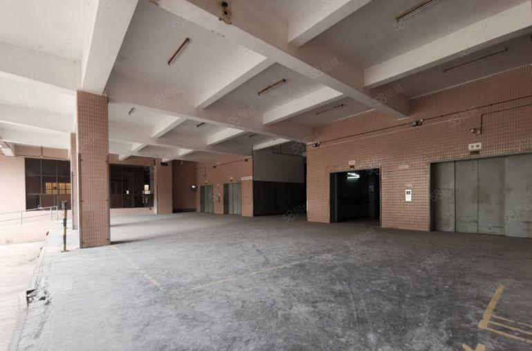 一楼厂房出租仓库低价沙头角保税区200至6000平独栋厂出