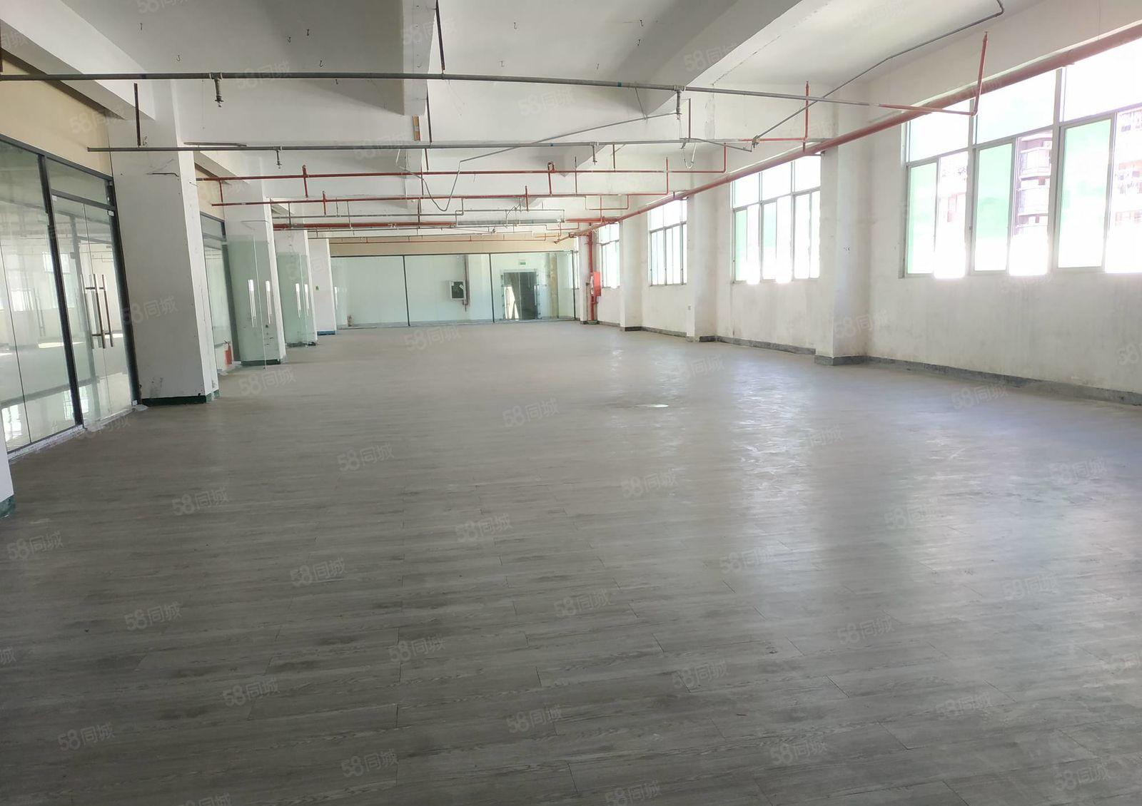 兴东地铁口 精装200平至1000平办公厂房仓储直租 按需选