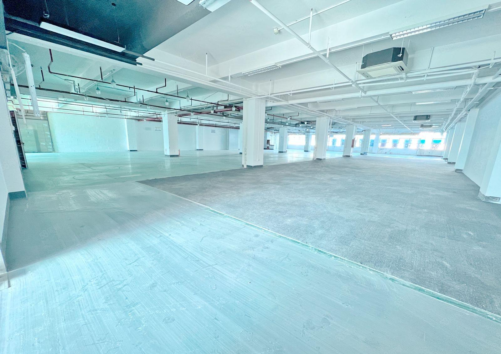 一手直租南山西丽百旺大型工业区 2000平 方正采光好