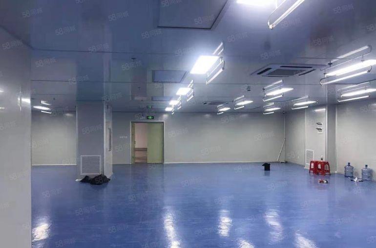 16块一平距离深圳盐田港8公里200平起分租共2万平高7米